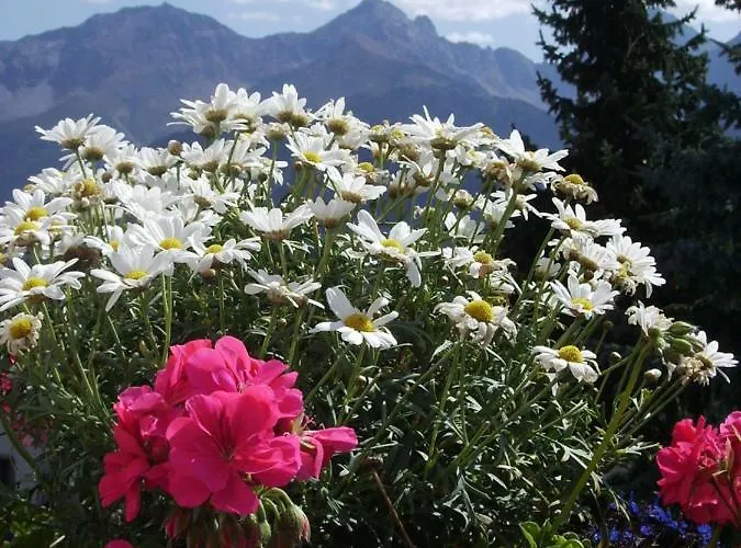 Apartmán Haus Raschlguat *